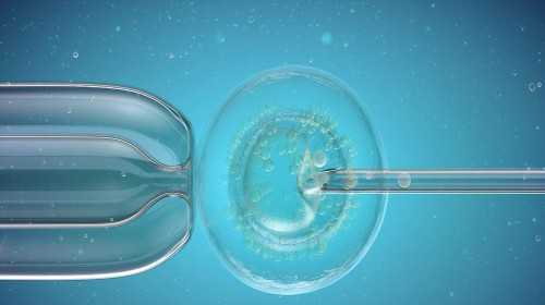 广州试管代孕哪种成功率高|抚州可以做供卵三代试管婴儿吗？做供卵三代试管