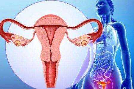 代怀试管供卵_凯里子宫腺肌瘤可以通过试管助孕吗子宫腺肌瘤专家道出了实情